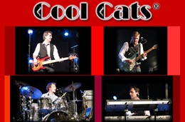 Cool Cats